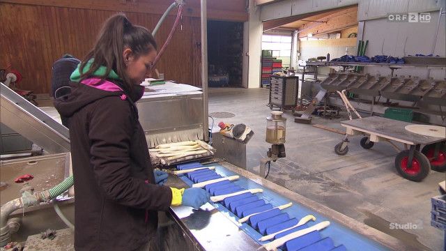 Studio 2 vom 23.03.2026