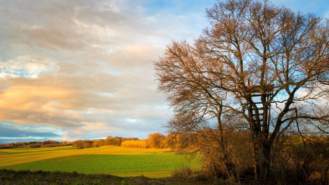 9 Plätze - 9 Schätze: So schön ist das Burgenland