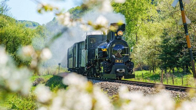 9 Plätze – 9 Schätze: Mariazellerbahn (Niederösterreich)