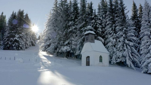 Rund um die Teichalm