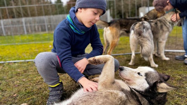 Die Abenteuerchecker: Schlittenfahrt mit Huskys