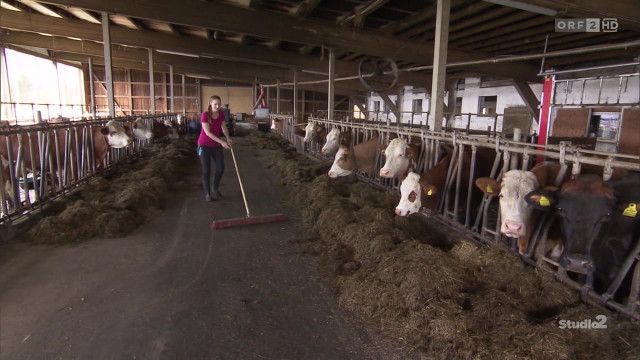 Studio 2 vom 17.04.2026