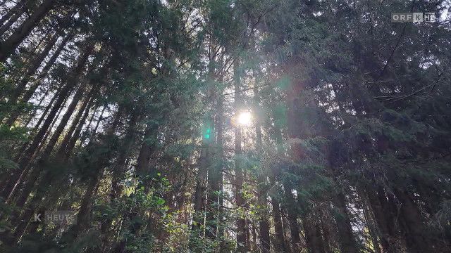 Kärnten heute vom 22.07.2026