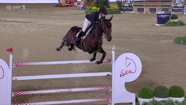 Pferdesport Global Champions Tour CSI5* Wien: Highlights