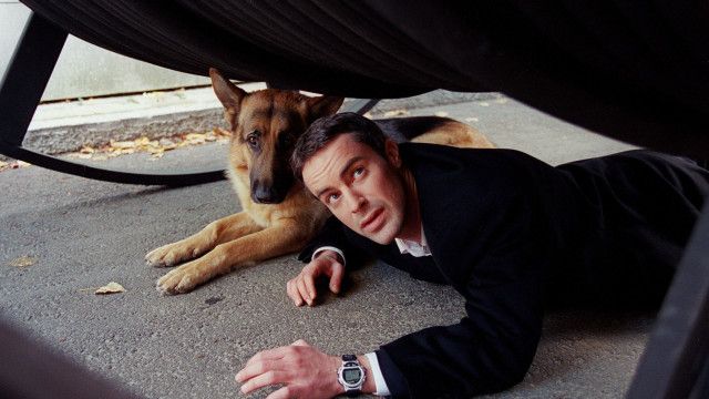 Kult-Serie "Kommissar Rex" (12/15): Besessen