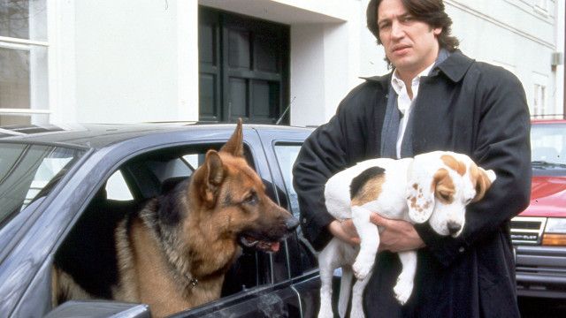 Kult-Serie "Kommissar Rex" (12/15): Tödliche Dosis