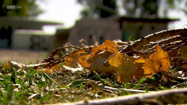 Bürgeranwalt vom 26.09.2026
