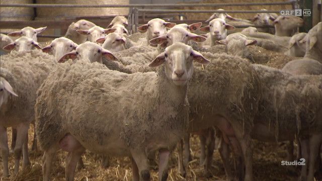 Studio 2 vom 14.04.2026