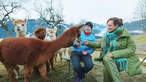 Reisezeit Reisezeit Folge 40: Reisezeit - Österreich: Best of