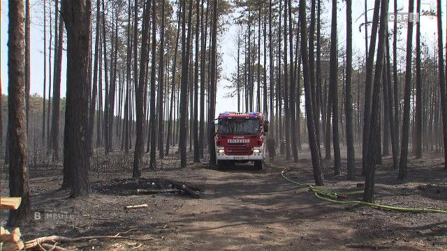 Burgenland heute vom 06.08.2026