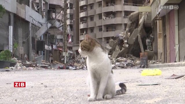 ZIB 17:00 vom 17.04.2026