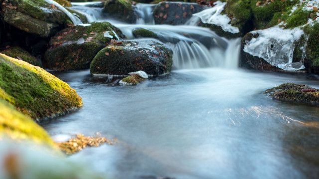 Universum: Der Bach - Naturjuwel vor der Haustür