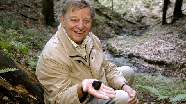 Das geheimnisvolle Leben der Pilze