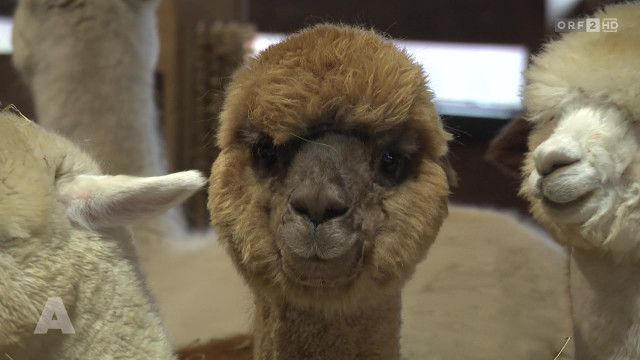 Aktuell nach eins vom 09.04.2026