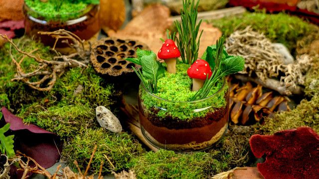 Box: Wald
