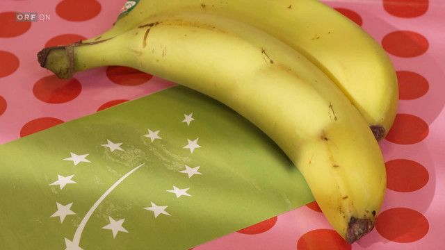 Bewusst Gesund - Das Magazin vom 25.04.2026