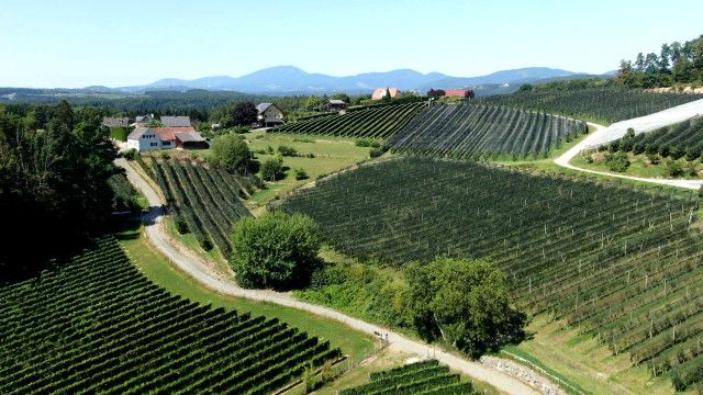 Erlebnis Österreich: Auf oststeirischen Erlebnisstraßen