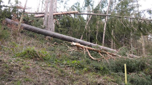 Kärnten heute vom 27.03.2026