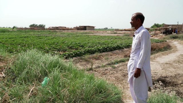 Langfassung: Erst die Flut, dann die Dürre: Pakistan in der Klimakrise