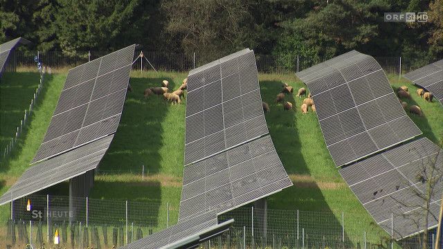 Steiermark heute vom 25.08.2026