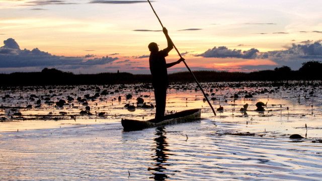 Mythos Kongo - Fluss der Extreme (1/2)