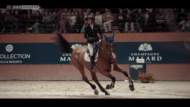 Pferdesport Jumping World Cup Western European League: 6. Station, Highlights aus London