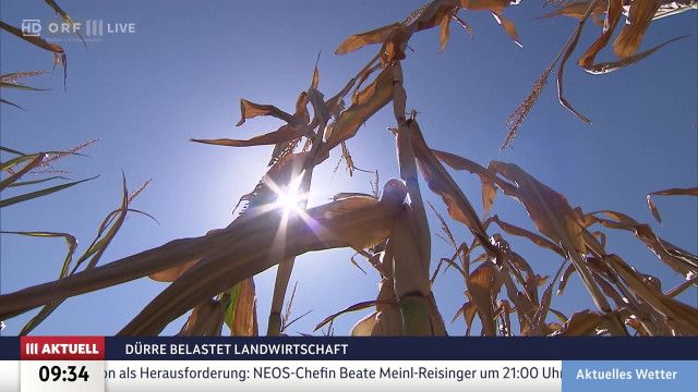 ORF III AKTUELL vom 17.08.2026