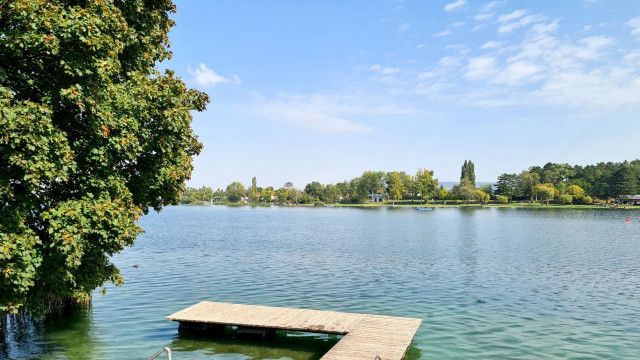 Zurück zur Natur: Rund ums Wasser