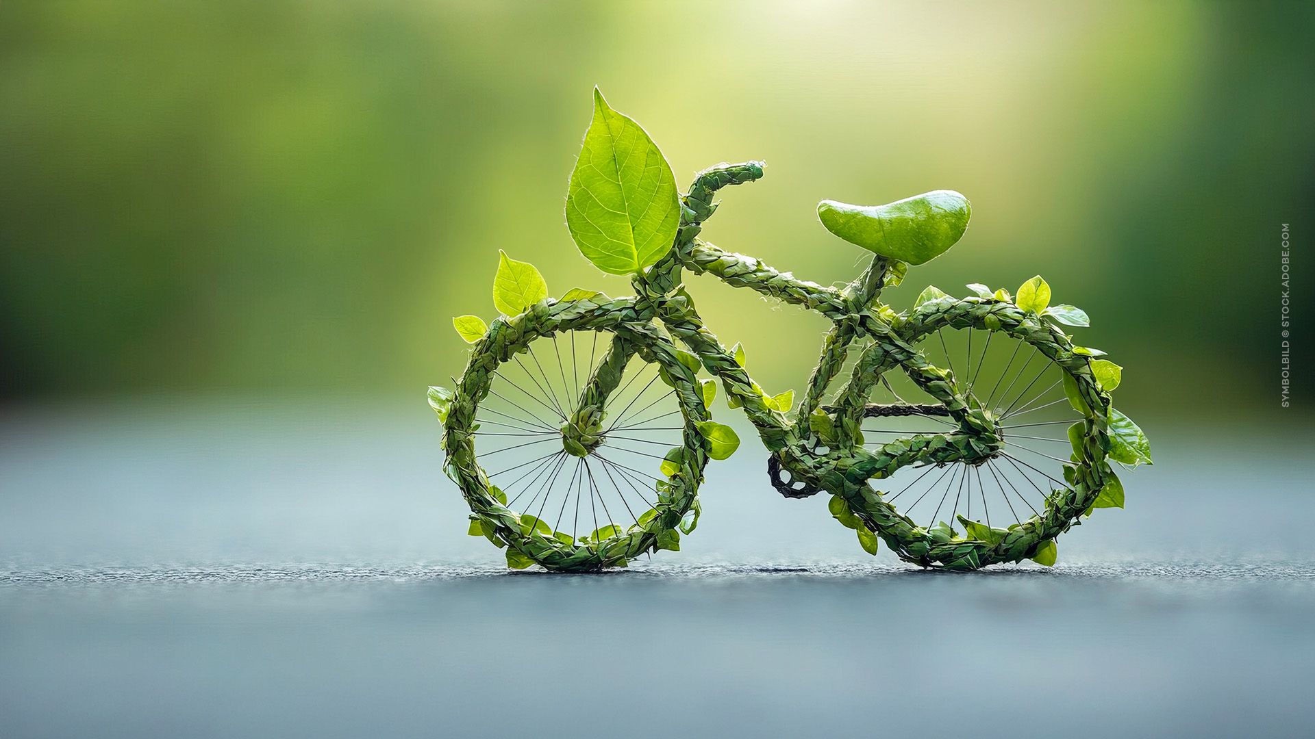 Aktiv, gesund, nachhaltig