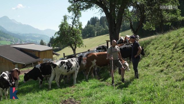 konkret vom 21.07.2026