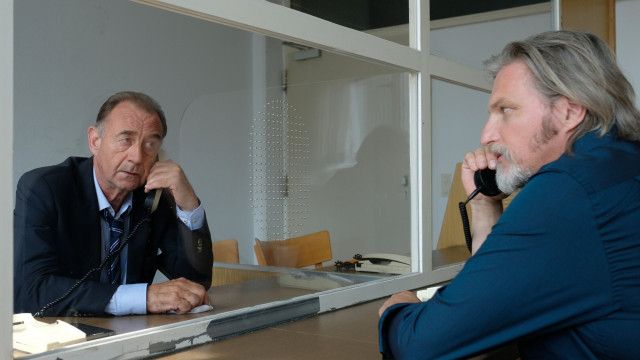 Soko Donau (5/17): Die Fäden in der Hand