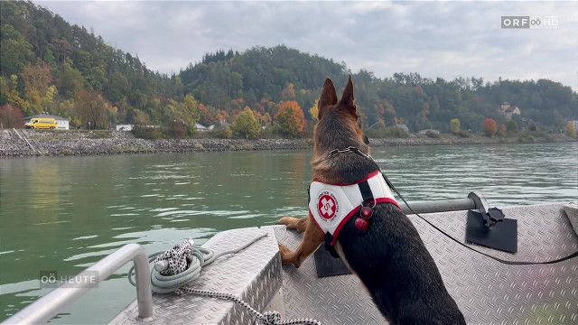 Oberösterreich heute vom 17.10.2026