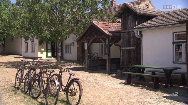 Studio 2 vom 29.07.2026