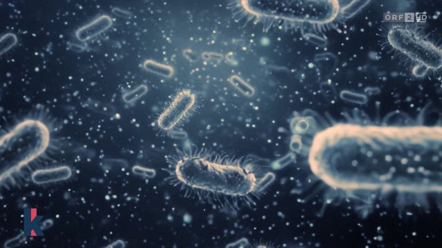 konkret vom 02.04.2026