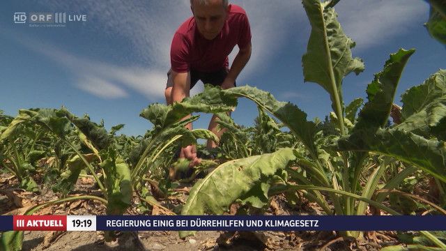 ORF III AKTUELL am Abend vom 21.08.2026