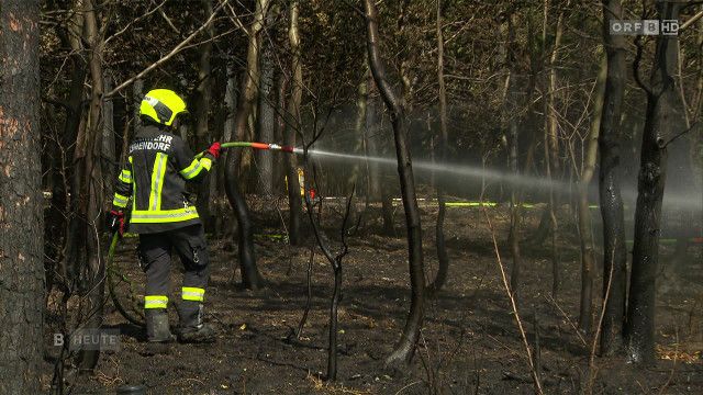 Burgenland heute vom 04.08.2026