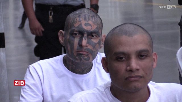 ZIB 7:00 vom 24.04.2026