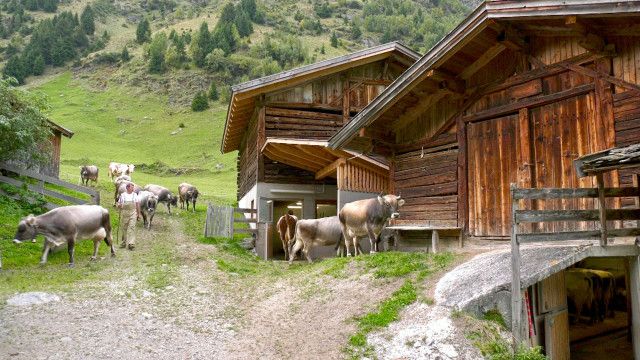 Durchs Stubaital