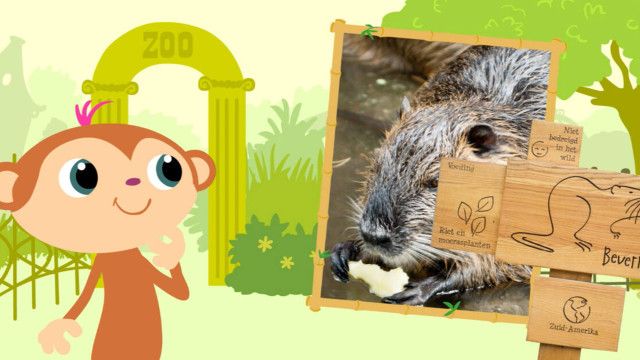 StoryZoo Abenteuer: Abenteuer im Zoo - Biberratte