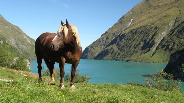 Vom Mooserboden auf das Kitzsteinhorn