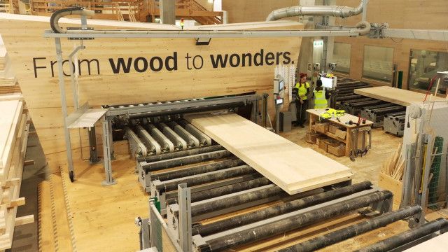 Erlebnis Österreich: Das grüne Gold - Forst und Holzwirtschaft in Kärnten