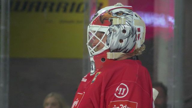 Eishockey Länderspiel: Österreich - Deutschland (in voller Länge)