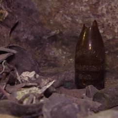 Wiens verborgene Unterwelt