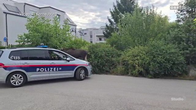 Studio 2 vom 19.08.2026