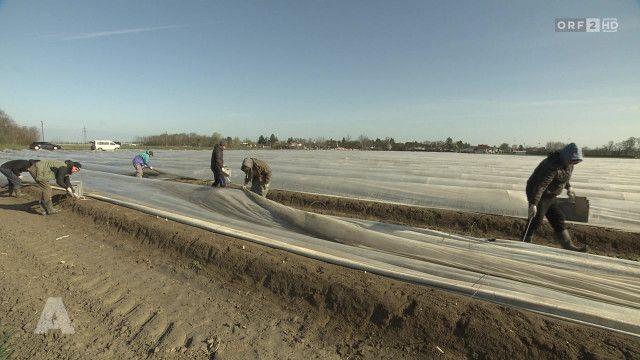 Aktuell nach eins vom 02.04.2026