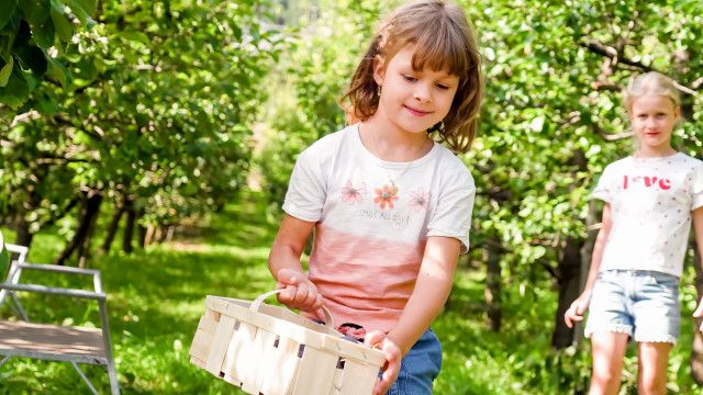 Grüße aus der Küche: Stanzer Zwetschke / Tirol