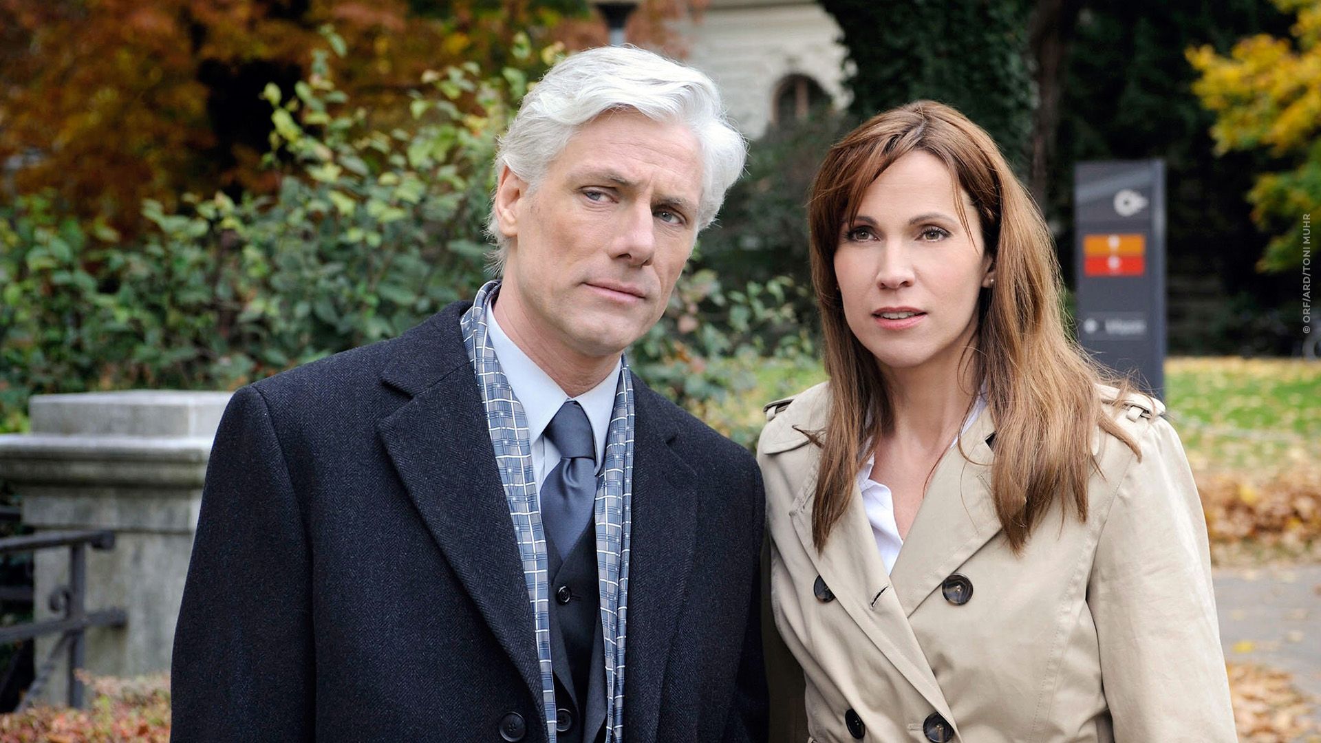 Detektiv wider Willen