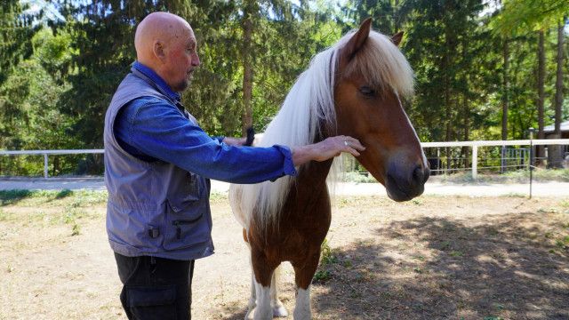Österreich, deine Generationen - Die Babyboomer (2/2)