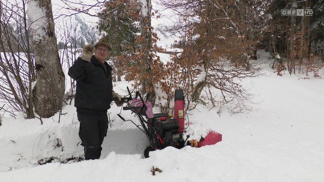 Vorarlberg heute vom 01.04.2026