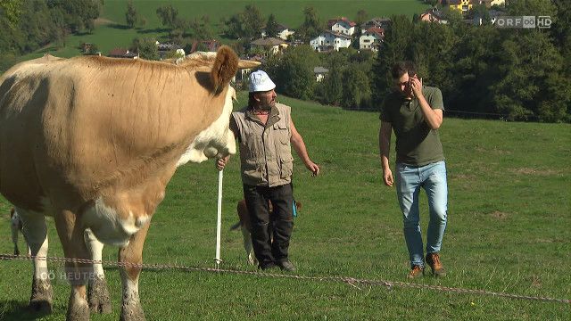 Oberösterreich heute vom 01.10.2026